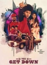 The Get Down (2016-2017) TV Series