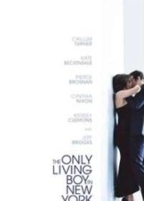 The Only Living Boy in New York (2017)