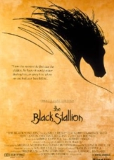 The Black Stallion (1979)