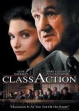 Class Action (1991)