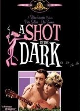 A shot in the dark (1964)