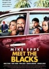 Meet the Blacks (2016)