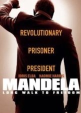 Mandela: Long Walk to Freedom 2013