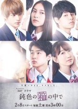 Trapped in the Box / In the Blunt Box (2020)