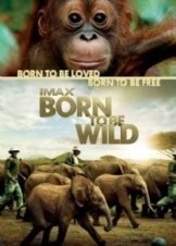 Born to Be Wild (2011)