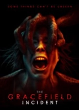 The Gracefield Incident (2017)