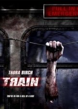 Train (2008)