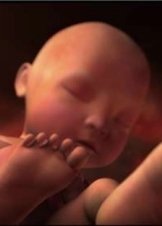 Programmed to be fat (2013)