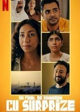 Επιστροφή στο Σπίτι / Crashing Eid (2023)