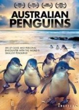 Australian Penguins  (2017)