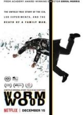 Wormwood (2017)