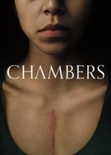 Chambers (2019)