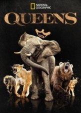 Queens / Βασίλισσες (2024)