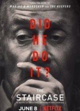 The Staircase / Soupçons  (2004-2018)