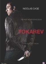 Tokarev (2014)