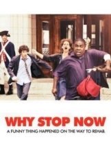 Why Stop Now 2012