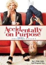 Accidentally on Purpose  (TV Series 2009-2010)