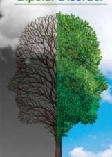 Διπολική διαταραχή - Bipolar Disorder (2007)