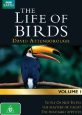 Η ζωή των πουλιών / The Life of Birds BBC (1998)