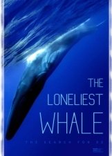The Loneliest Whale: The Search for 52 (2021)