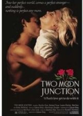 Two Moon Junction (1988)