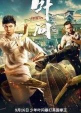 Ip Man: The Awakening (2022)