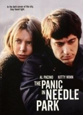 Πανικός στο Νηντλ Παρκ / The Panic in Needle Park (1971)