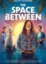 The Space Between (2021)