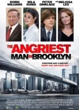 Ο Γκρινιάρης της Νέας Υόρκης / The Angriest Man in Brooklyn (2014)