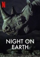 Night on Earth (2020)