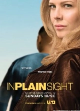 In Plain Sight (TV Series 2008–2012) 1,2,3,4,5η Σεζόν