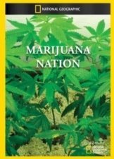Marijuana Nation 2008