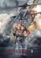 Baaghi 2 (2018)