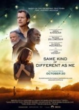 Same Kind of Different as Me (2017)