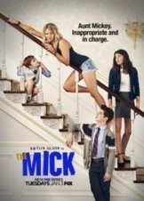 The Mick (2017-2018) TV Series
