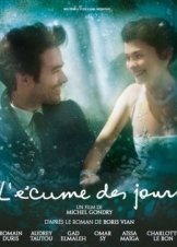 Mood Indigo / L' Ecume Des Jours (2013)