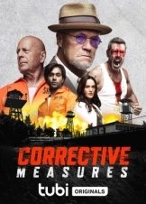 Corrective Measures (2022)