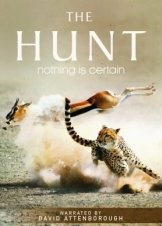 The Hunt (2015)