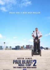 Paul Blart: Mall Cop 2 (2015)