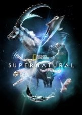Υπερ/Φυσικό / Super/Natural (2022)
