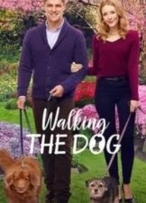 Walking the Dog (2017)