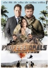 Professionals (2020)