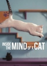 Inside the Mind of a Cat (2022)