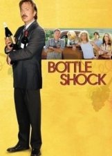 Bottle Shock (2008)