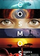 Cosmos: A Spacetime Odyssey (2014)
