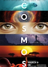 Cosmos: A Spacetime Odyssey (2014)