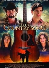 Like a Country Song (2014)