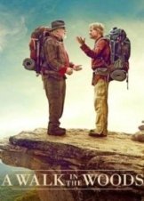 A Walk in the Woods (2015)