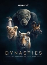 Dynasties (2018)