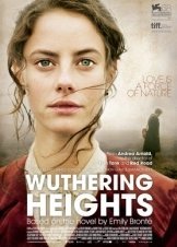 Ανεμοδαρμένα ύψη / Wuthering Heights (2011)